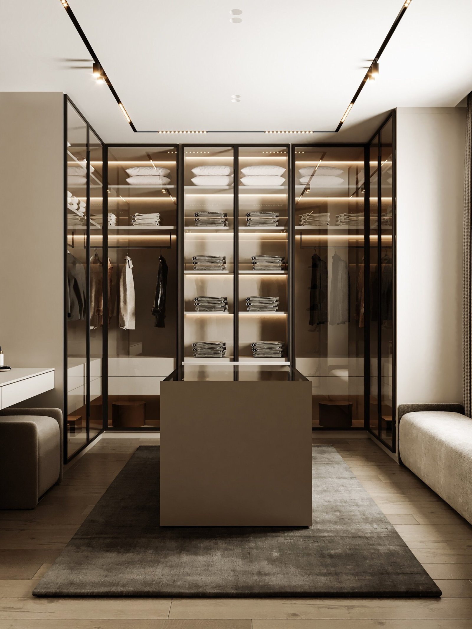 minimalist walk in closet with glass wardrobes and display storage scaled Luxury Hinged Wardrobe