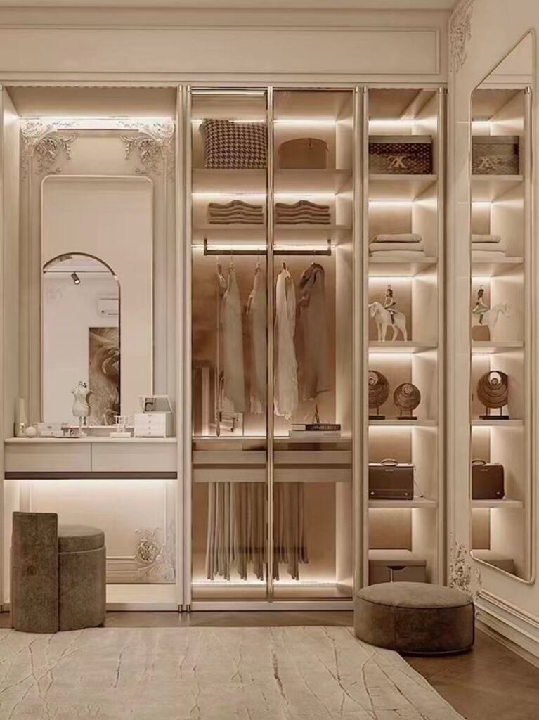 modern luxury glass door closet storage design