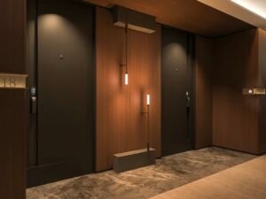 modern hotel flush doors Modern hotel flush doors