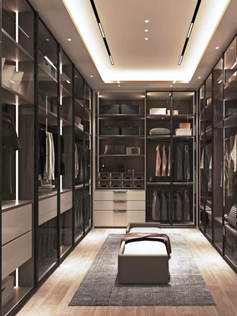 Modern walk-in closet with glass cabinets