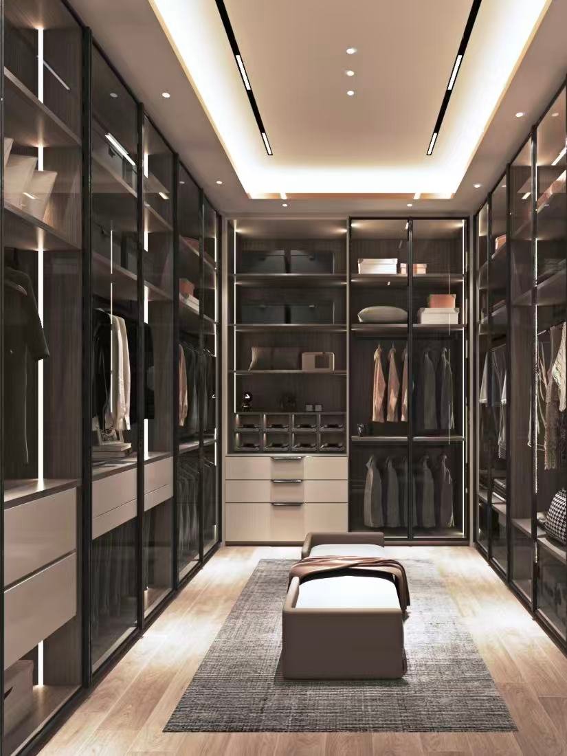 Modern walk-in closet with glass cabinets