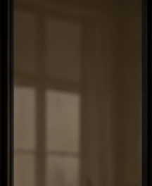 Smoked glass sliding door finish with privacy design